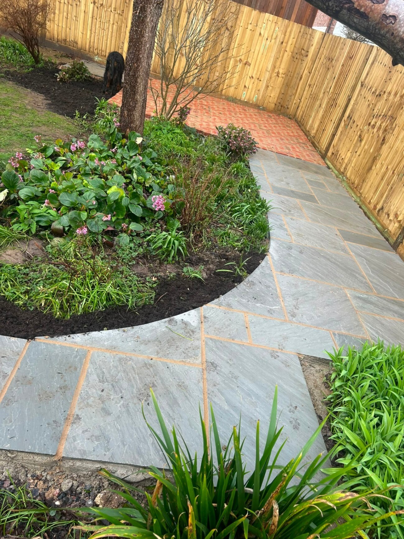 Sandstone stepping path winding through a planted flower border.